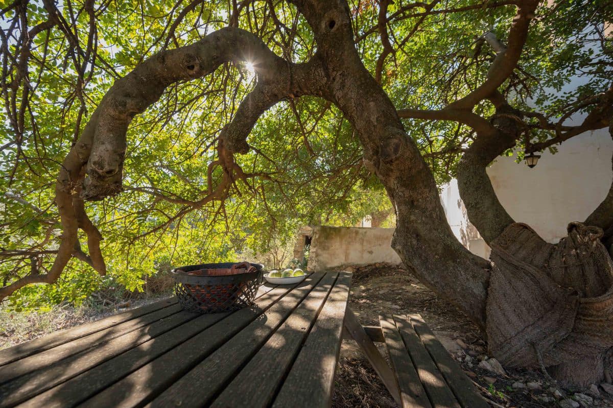 3 bedroom Finca/Country House for sale in La Herradura - € 190,000 (Ref: 8382912)