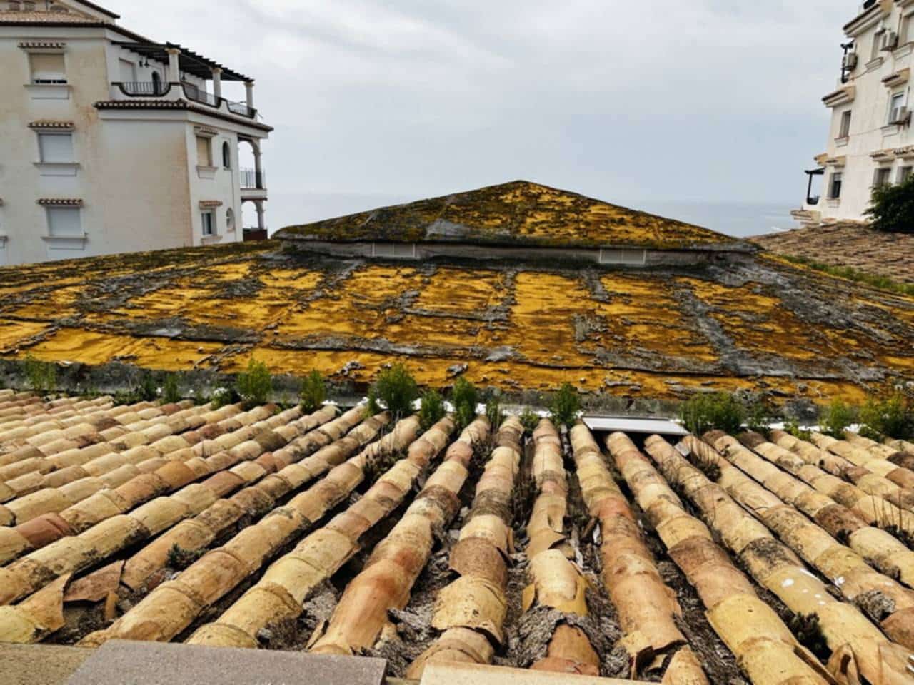 Erhverv til salg i Almunecar - € 650.000 (Ref: 8208158)