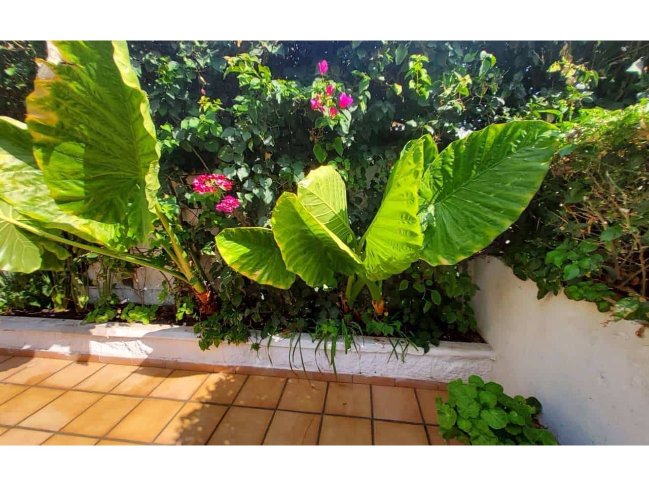 4 soveværelse Villa til salg i Taramay med swimmingpool garage - € 625.000 (Ref: 9357969)