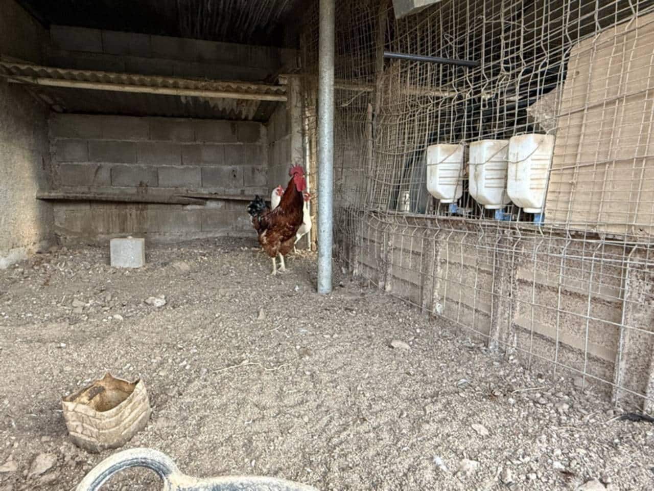 3 quarto Quinta/Casa Rural para venda em Almunecar - 200 000 € (Ref: 9771990)