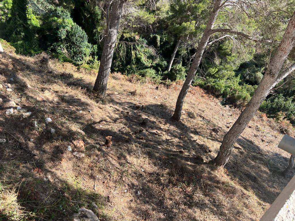 Grond te koop in Javea / Xabia - € 800.000 (Ref: 7568397)