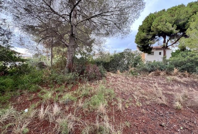 Terreno/Finca Rústica en Moraira, Teulada-Moraira en venta - 800.000 € (Ref: 8598115)