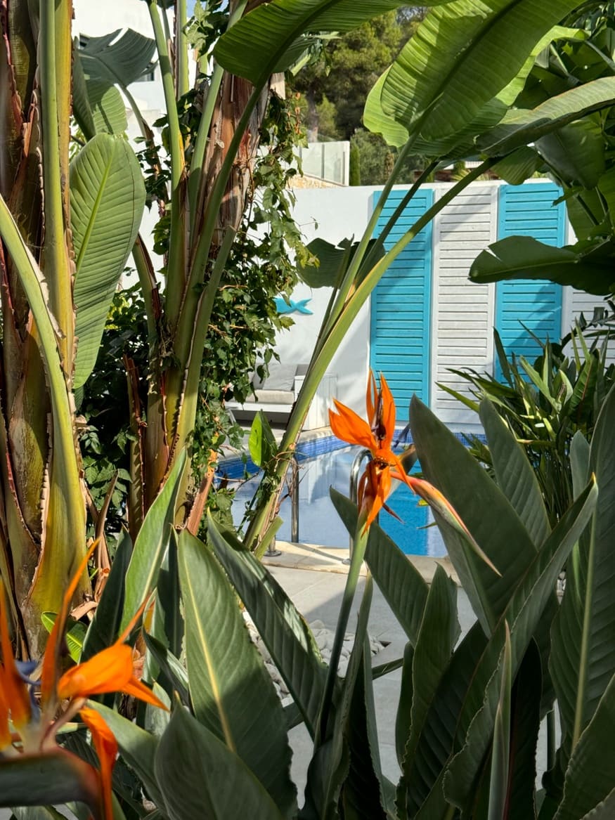 4 makuuhuone Huvila myytävänä paikassa Moraira mukana uima-altaan - 1 099 000 € (Ref: 8769308)