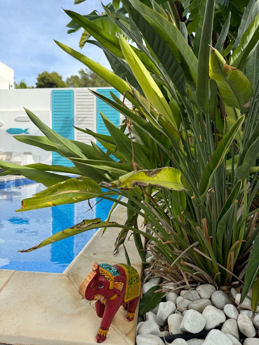 4 makuuhuone Huvila myytävänä paikassa Moraira mukana uima-altaan - 1 099 000 € (Ref: 8769308)