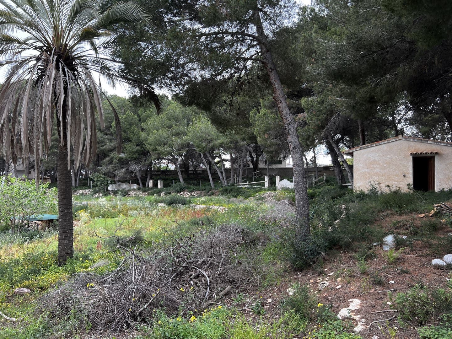 Grunde uden byggetilladelser til salg i Moraira - € 600.000 (Ref: 8936316)