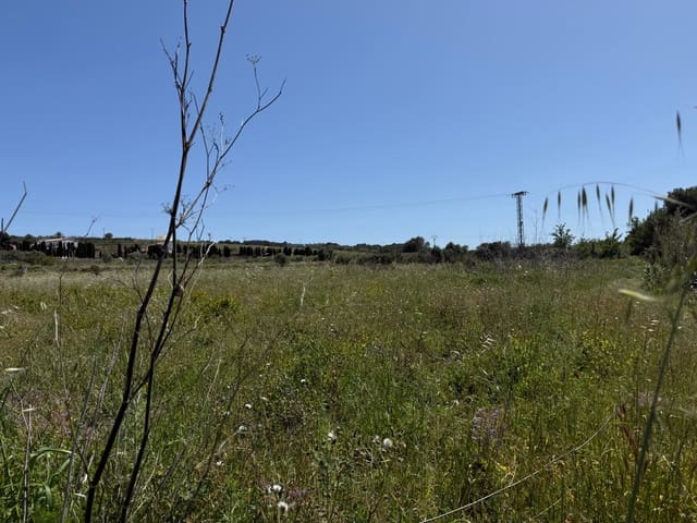 Teren niezagospodarowany na sprzedaż w Benissa - 340 000 € (Ref: 9827560)