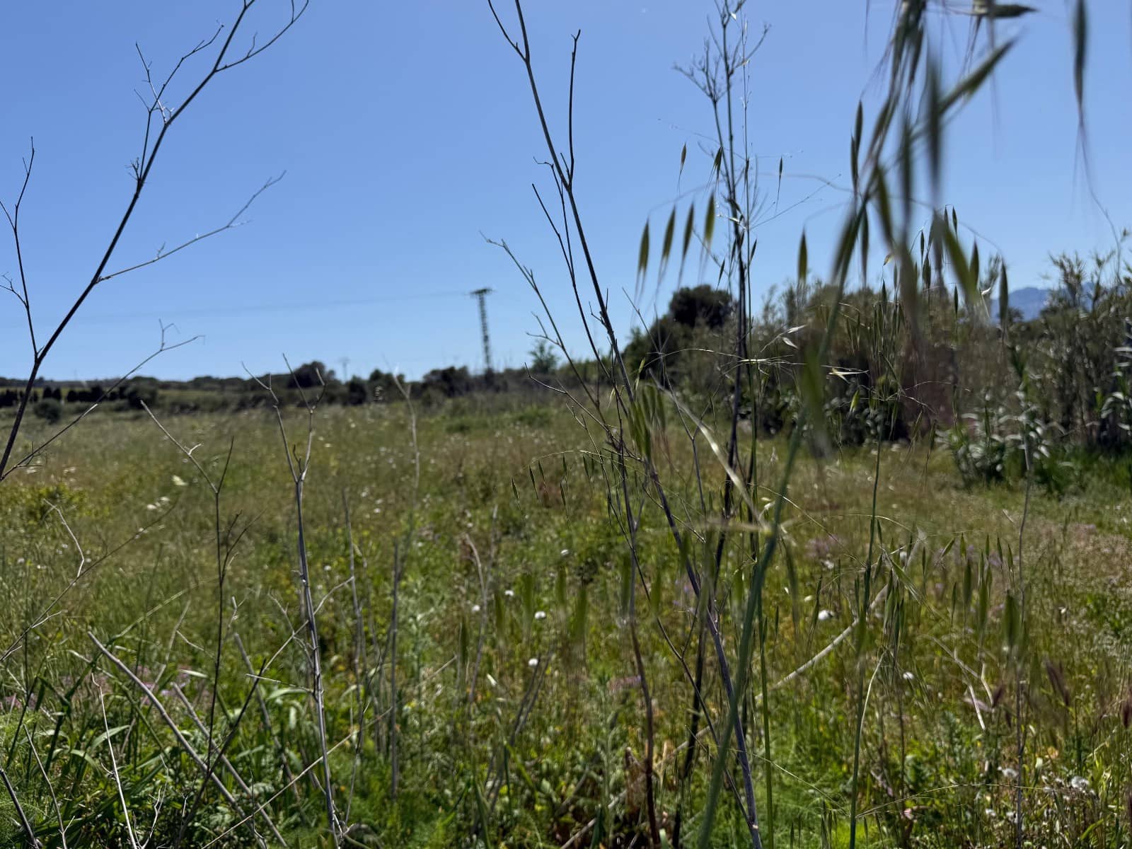 Terreno Non Edificato in vendita in Benissa - 340.000 € (Rif: 9827560)