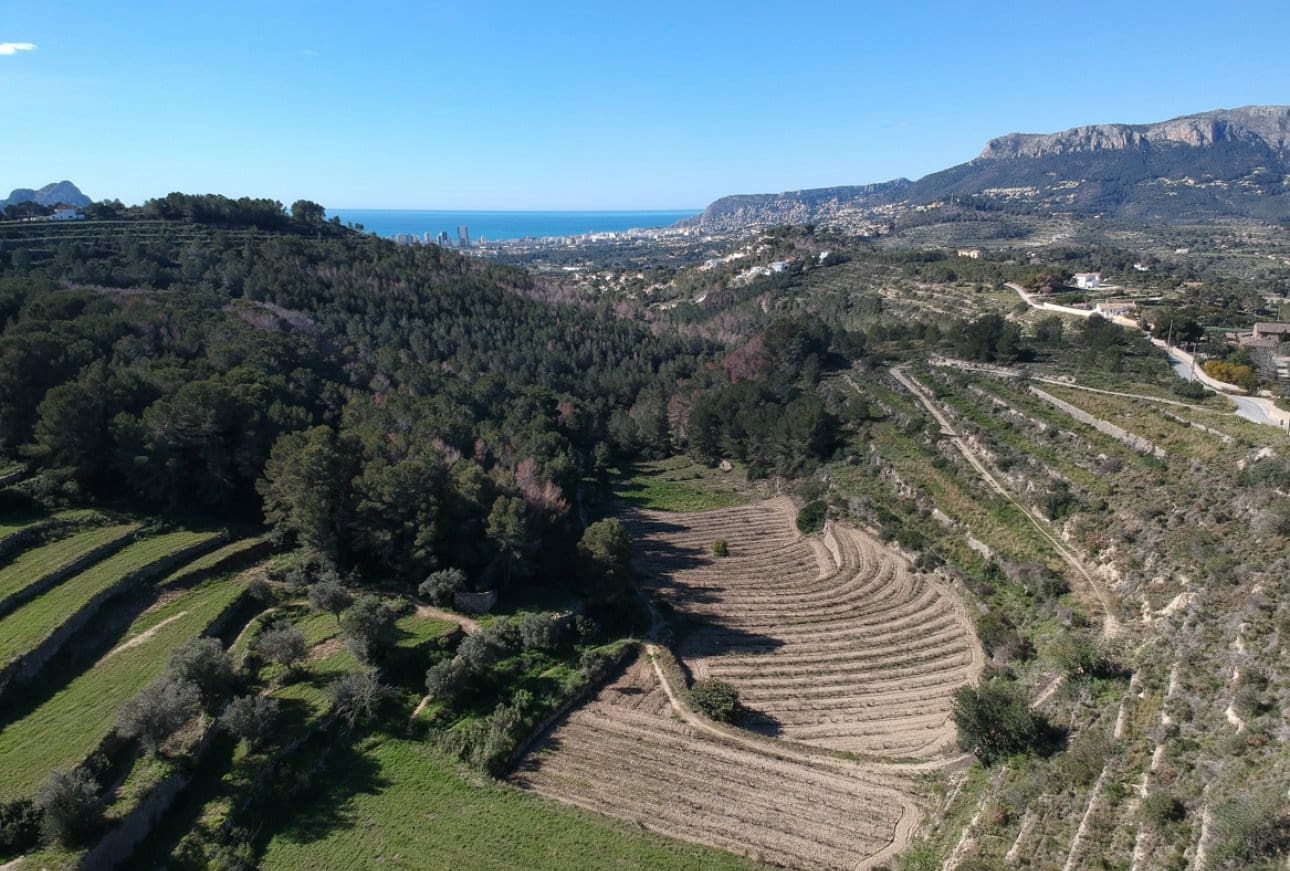 Terreno Non Edificato in vendita in Pedramala - 999.000 € (Rif: 9929802)