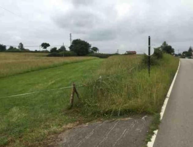 Undeveloped Land for sale in Oviedo - € 995,000 (Ref: 4322362)