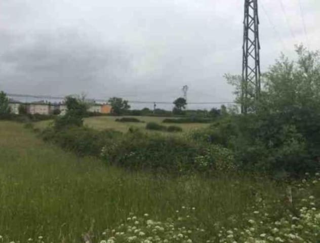 Undeveloped Land for sale in Oviedo - € 995,000 (Ref: 4322362)