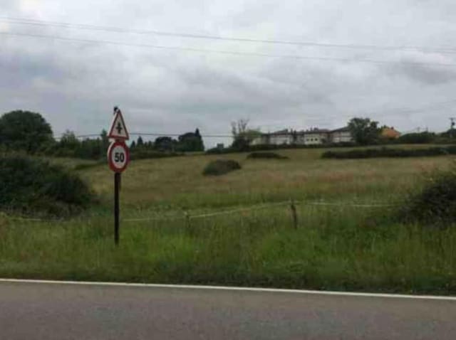 Undeveloped Land for sale in Oviedo - € 995,000 (Ref: 4322362)