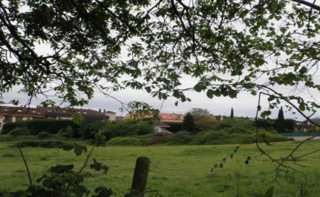 Rakentamaton maa myytävänä paikassa Llanera - 1 100 000 € (Ref: 4322363)