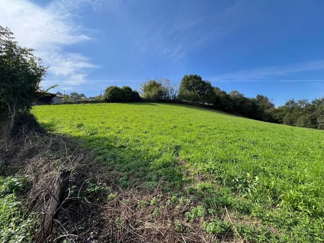 Undeveloped Land for sale in Bimenes - € 27,000 (Ref: 8541681)