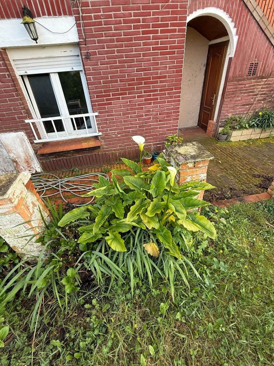 6 soveværelse Villa til salg i Oviedo med garage - € 279.000 (Ref: 8928323)