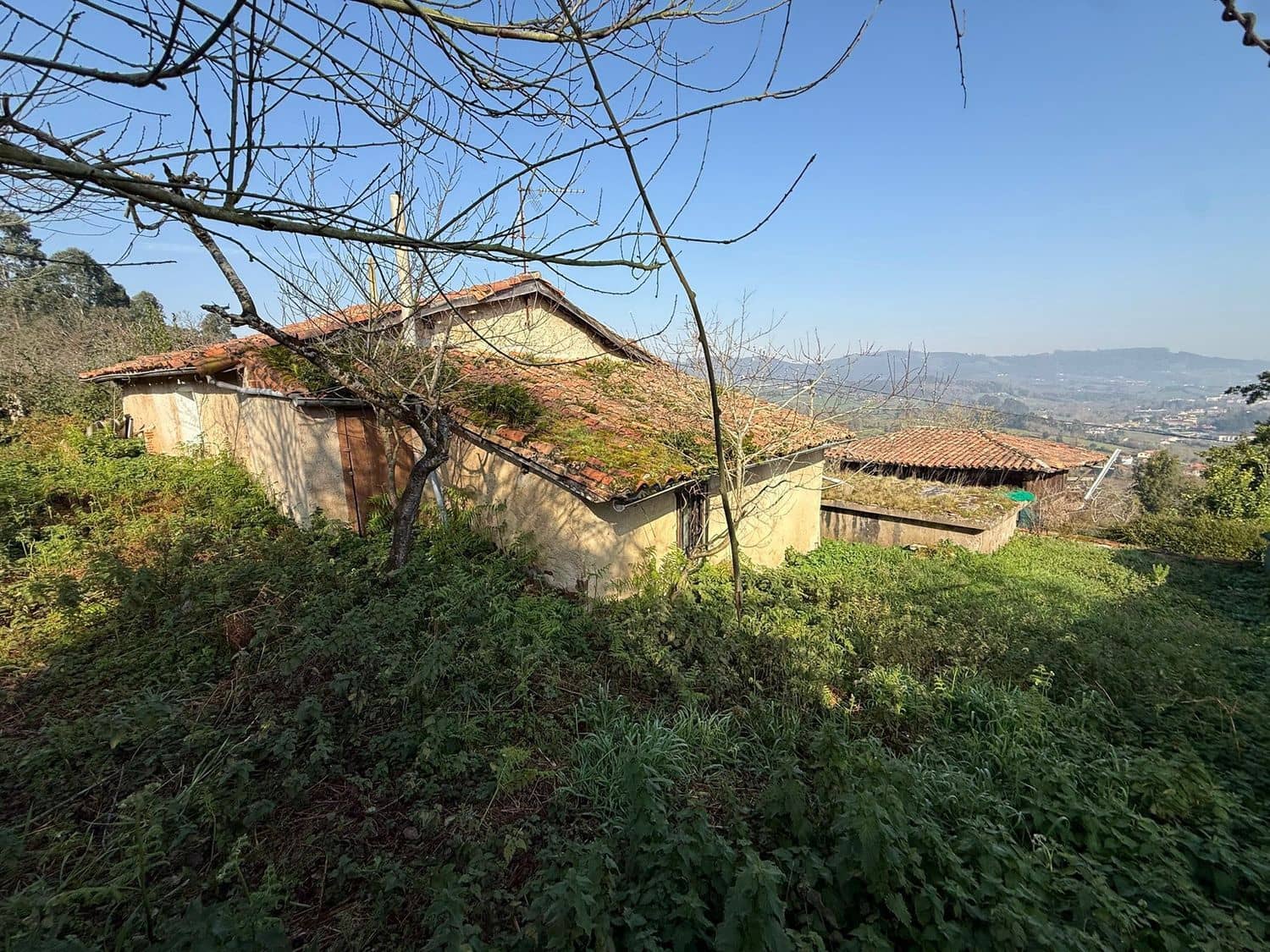 Finca/Casa Rural de 3 habitaciones en Villaviciosa en venta con garaje - 55.000 € (Ref: 9647793)