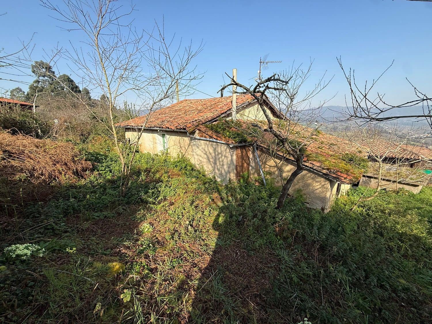 Finca/Casa Rural de 3 habitaciones en Villaviciosa en venta con garaje - 55.000 € (Ref: 9647793)