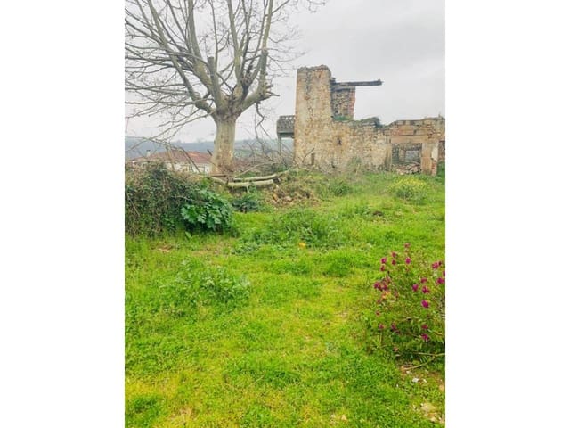 Finca/Country House for sale in Karrantza Harana/Valle de Carranza - € 95,000 (Ref: 3861978)