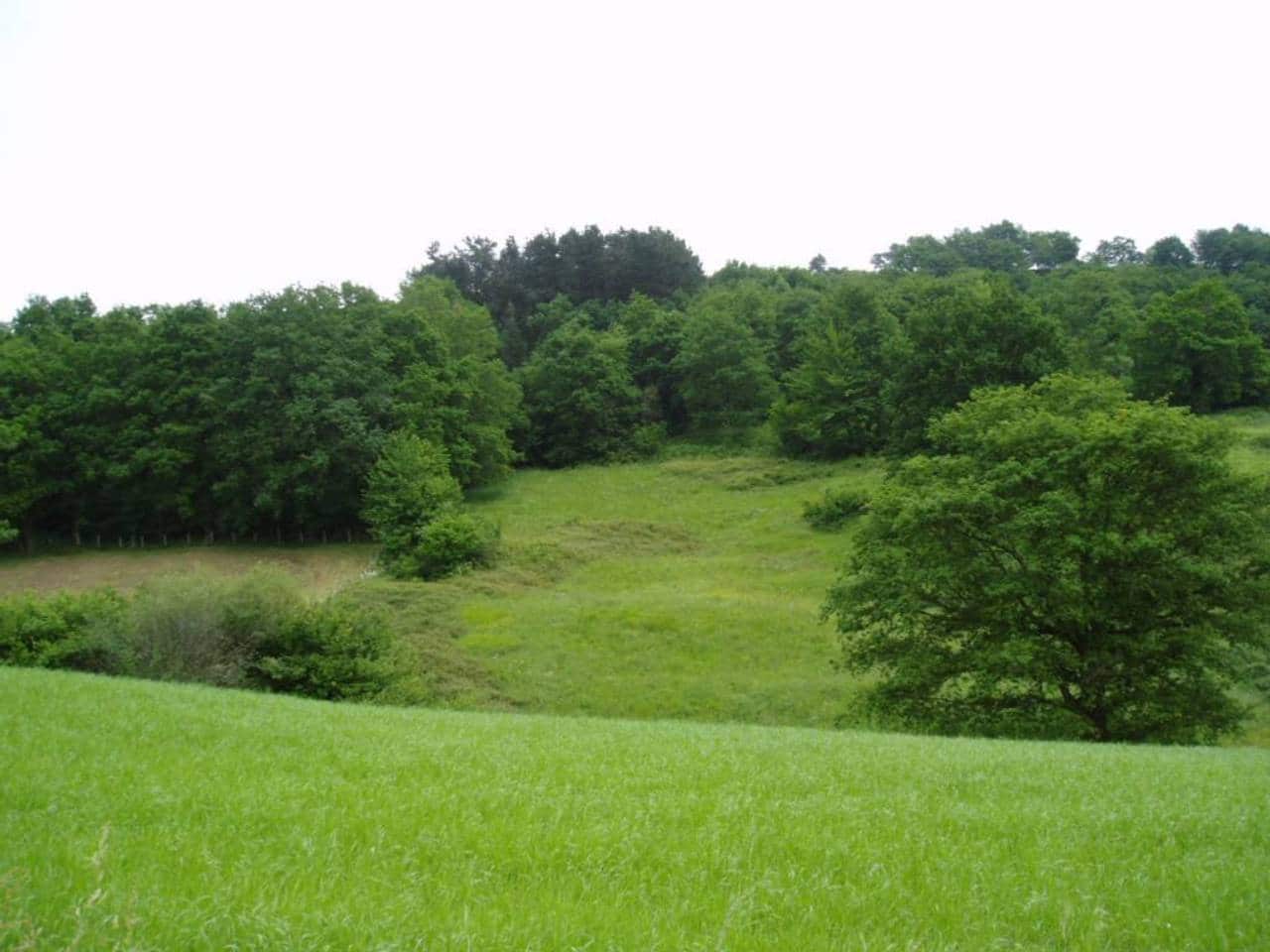 Grunde uden byggetilladelser til salg i Karrantza Harana/Valle de Carranza - € 75.000 (Ref: 3862326)