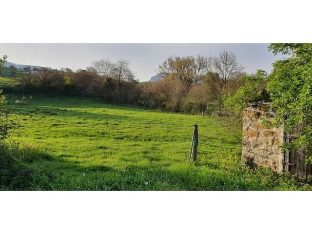 5 sypialnia Finka/Dom wiejski na sprzedaż w Karrantza Harana/Valle de Carranza - 120 000 € (Ref: 3862362)