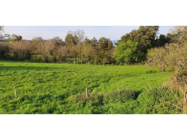 5 sypialnia Finka/Dom wiejski na sprzedaż w Karrantza Harana/Valle de Carranza - 120 000 € (Ref: 3862362)