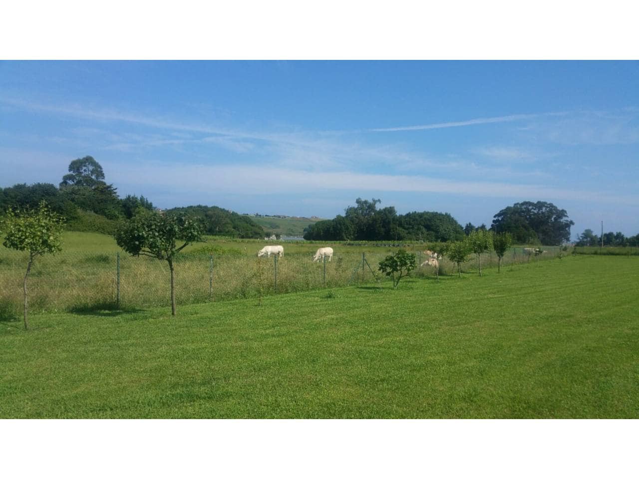 3 soveværelse Villa til salg i Mogro - € 500.000 (Ref: 4671834)