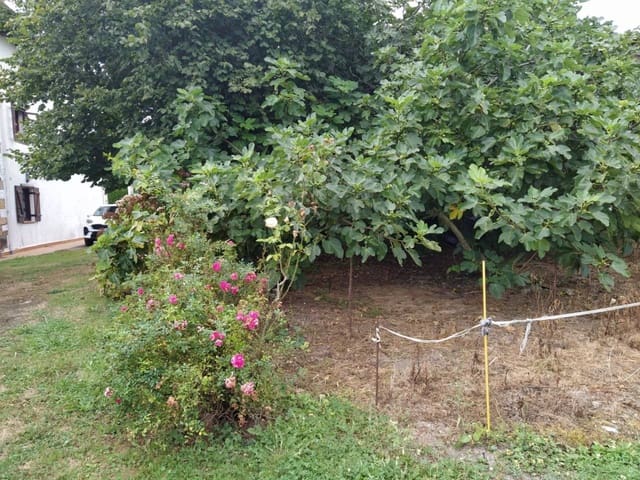 Undeveloped Land for sale in Liendo - € 220,000 (Ref: 5872050)