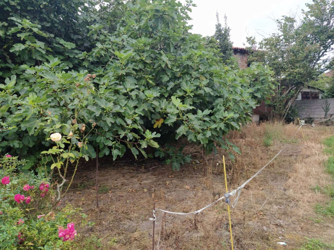 Grunde uden byggetilladelser til salg i Liendo - € 220.000 (Ref: 5872050)