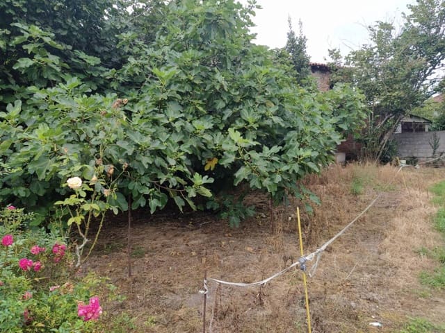 Undeveloped Land for sale in Liendo - € 220,000 (Ref: 5872050)