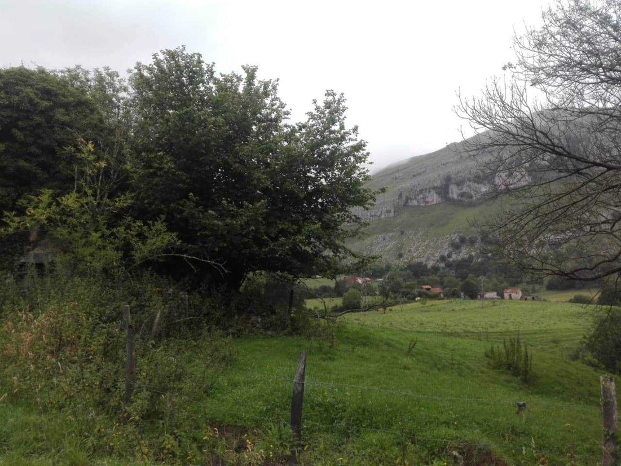 Tomt till salu i Ruesga - 60 000 € (Ref: 6768313)