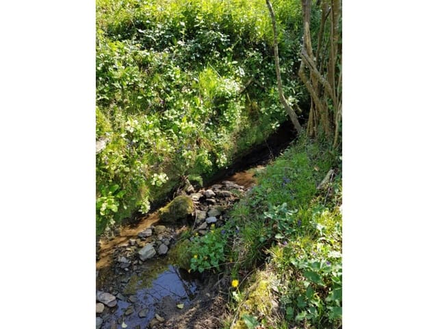 Building Plot for sale in Ruesga - € 60,000 (Ref: 6768313)