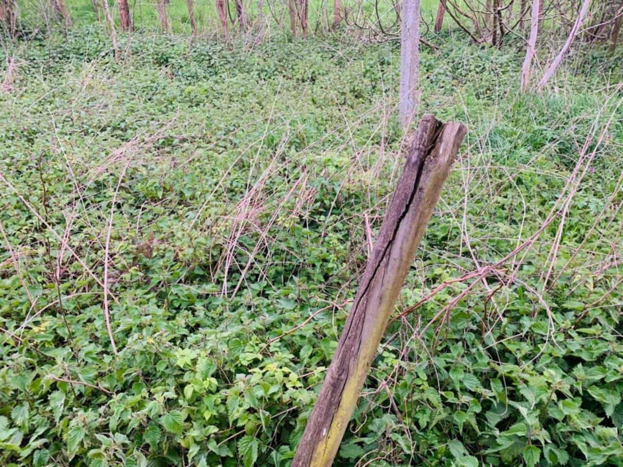 4 soveværelse Finca/Landehus til salg i Karrantza Harana/Valle de Carranza - € 155.000 (Ref: 7187503)