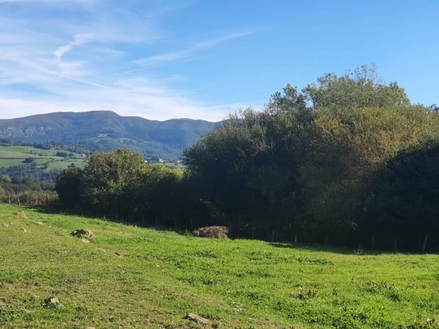 Finca/Country House for sale in Karrantza Harana/Valle de Carranza - € 106,000 (Ref: 8589913)