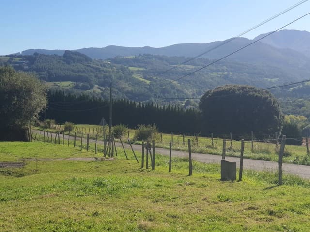 Finca/Country House for sale in Karrantza Harana/Valle de Carranza - € 106,000 (Ref: 8589913)