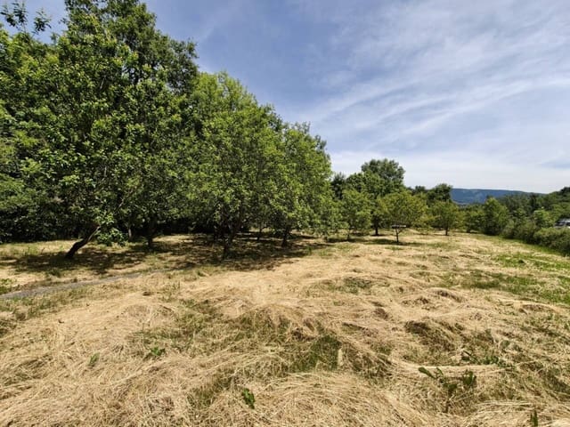 Finca/Casa di Campagna in vendita in Artziniega - 330.000 € (Rif: 9016411)