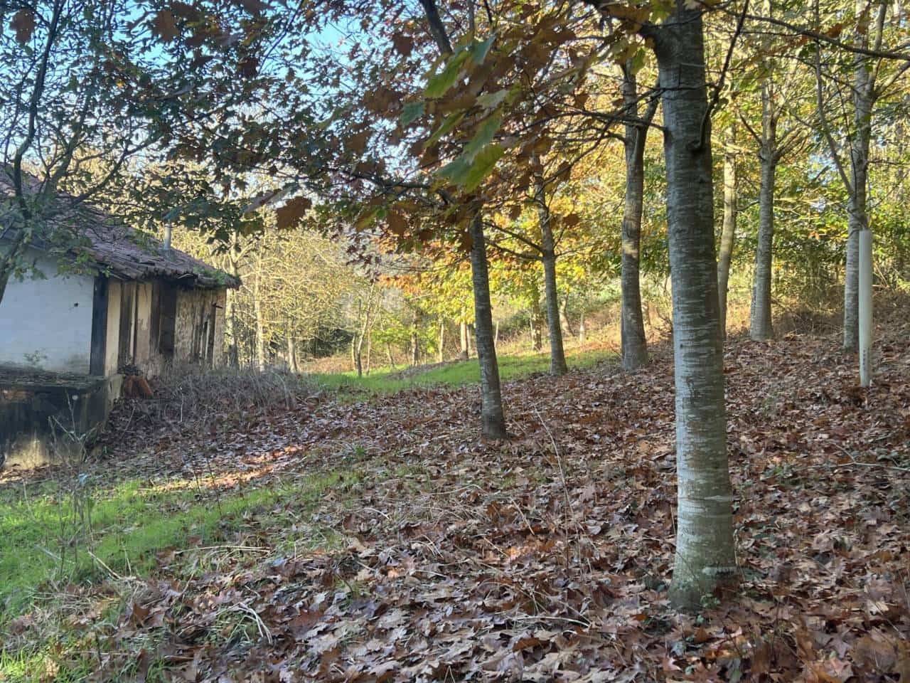 3 soveværelse Finca/Landehus til salg i Karrantza Harana/Valle de Carranza - € 65.000 (Ref: 907541)
