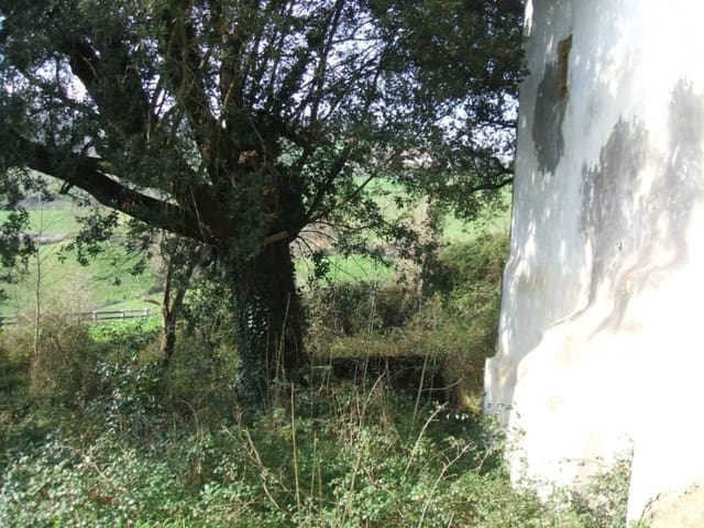 Finca/Country House for sale in Karrantza Harana/Valle de Carranza - € 168,283 (Ref: 907565)