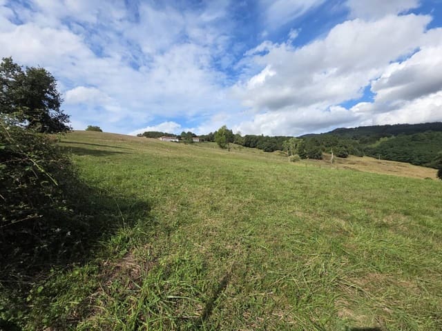 Grond te koop in Karrantza Harana/Valle de Carranza - € 120.000 (Ref: 9325332)