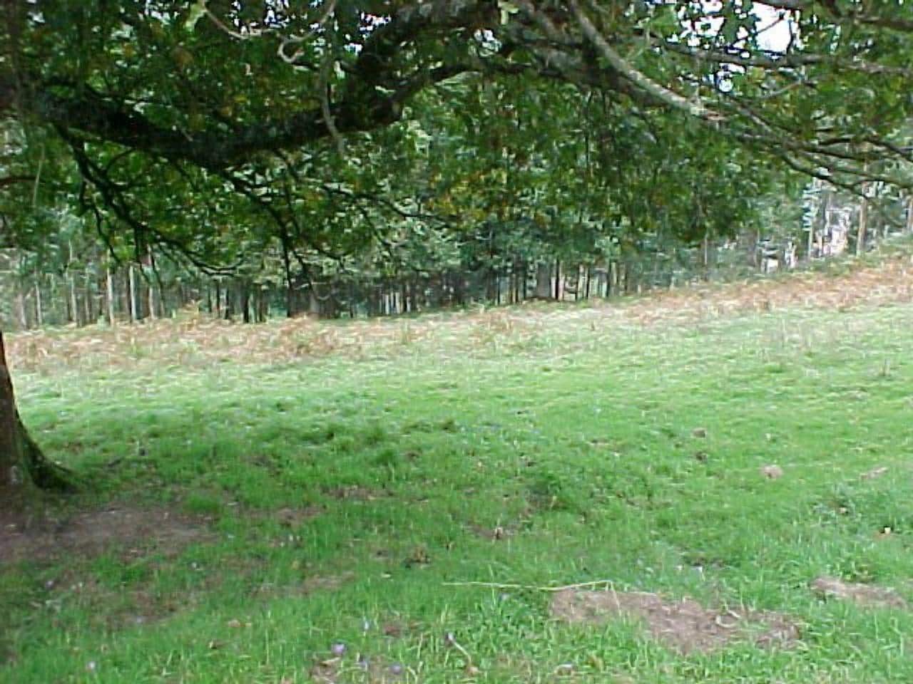 Grunde uden byggetilladelser til salg i Arcentales - € 86.000 (Ref: 942832)