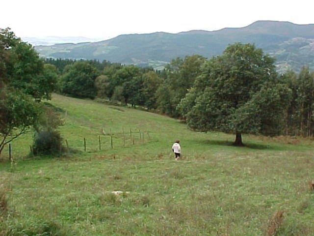 Undeveloped Land for sale in Arcentales - € 86,000 (Ref: 942832)