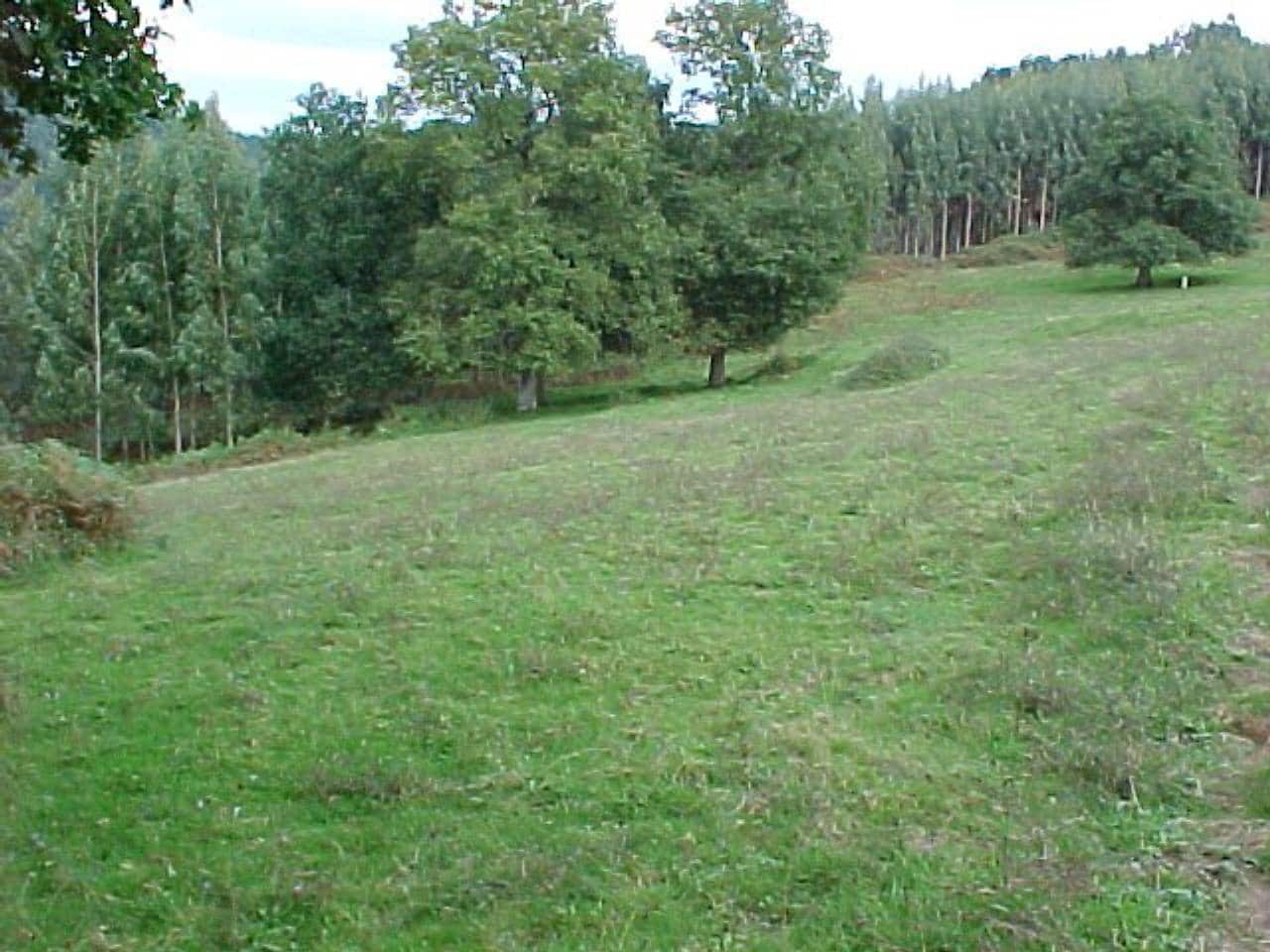 Landgrundstück zu verkaufen in Arcentales - 86.000 € (Ref: 942832)