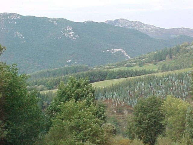 Undeveloped Land for sale in Arcentales - € 86,000 (Ref: 942832)