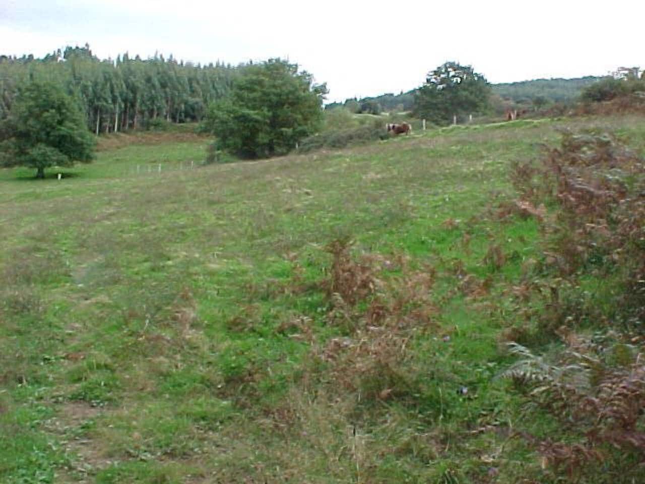 Grunde uden byggetilladelser til salg i Arcentales - € 86.000 (Ref: 942832)