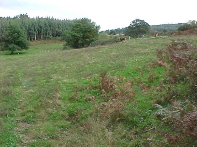 Undeveloped Land for sale in Arcentales - € 86,000 (Ref: 942832)