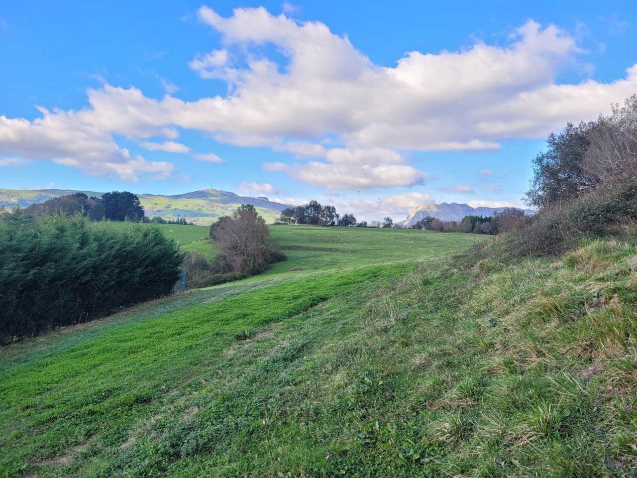 Undeveloped Land for sale in Karrantza Harana/Valle de Carranza - € 49,000 (Ref: 942835)