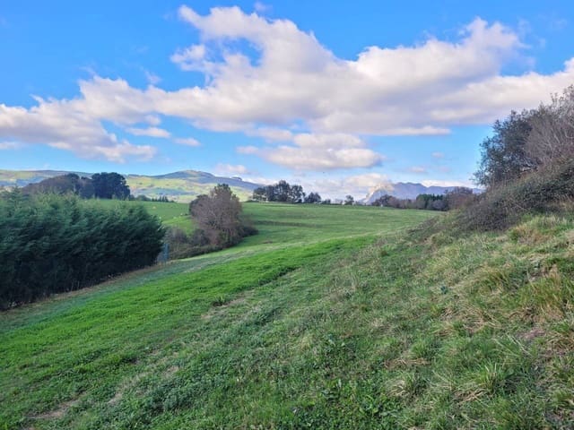 Undeveloped Land for sale in Karrantza Harana/Valle de Carranza - € 49,000 (Ref: 942835)