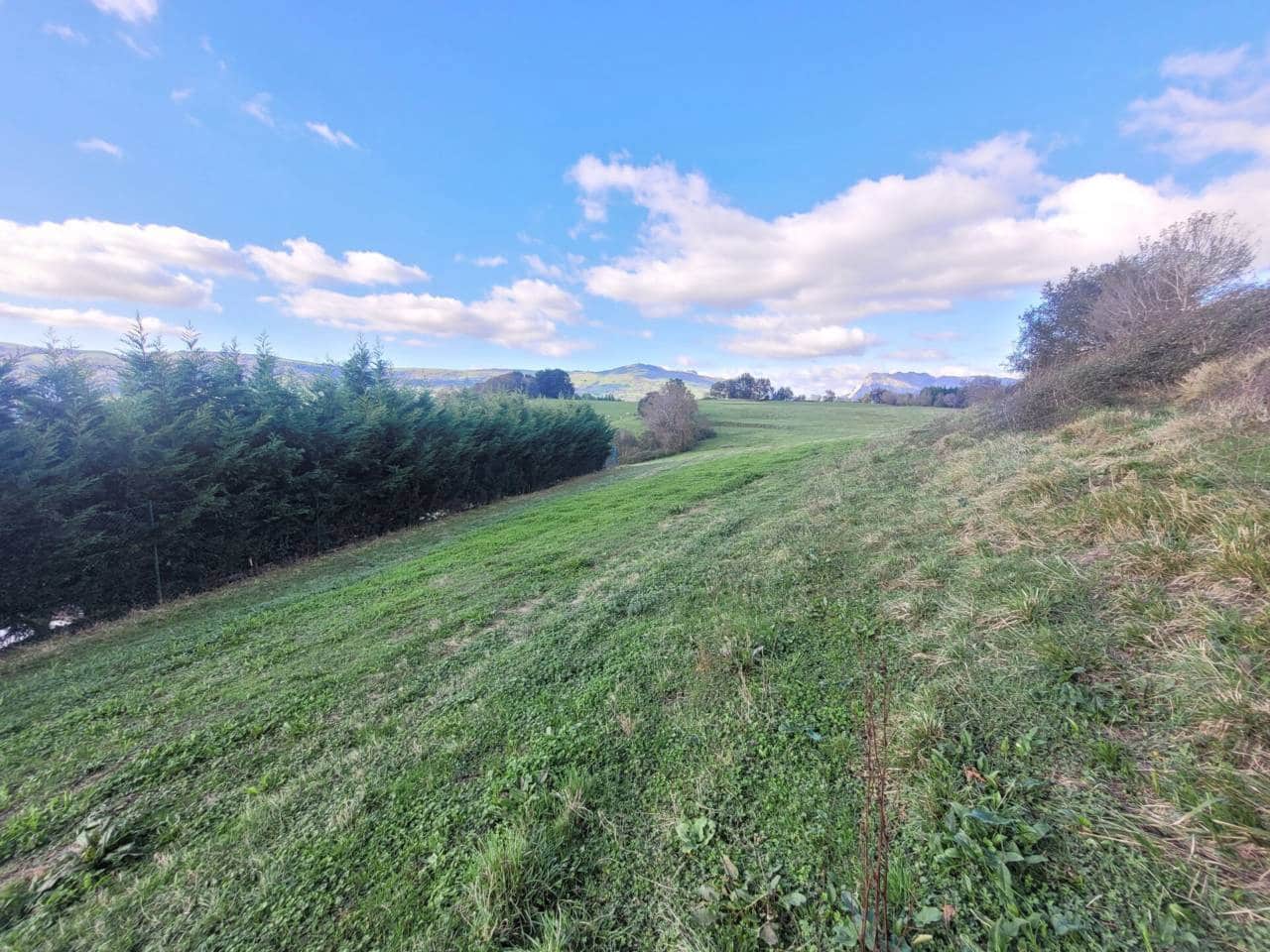 Undeveloped Land for sale in Karrantza Harana/Valle de Carranza - € 49,000 (Ref: 942835)
