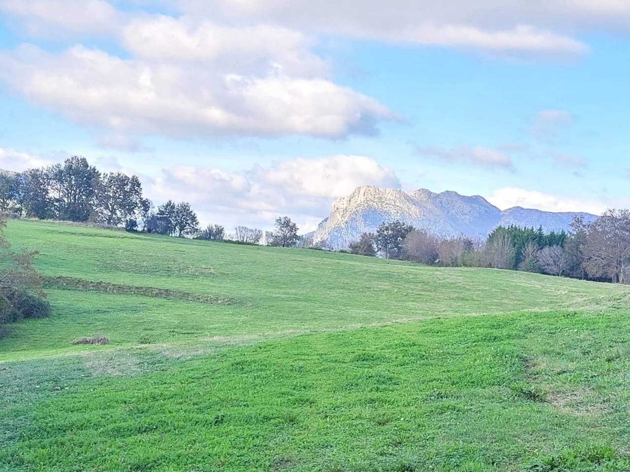 Undeveloped Land for sale in Karrantza Harana/Valle de Carranza - € 49,000 (Ref: 942835)