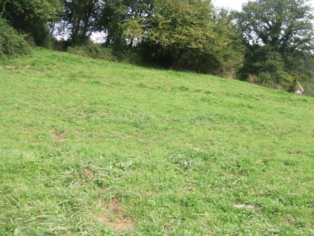 Grunde uden byggetilladelser til salg i Karrantza Harana/Valle de Carranza - € 121.010 (Ref: 942836)
