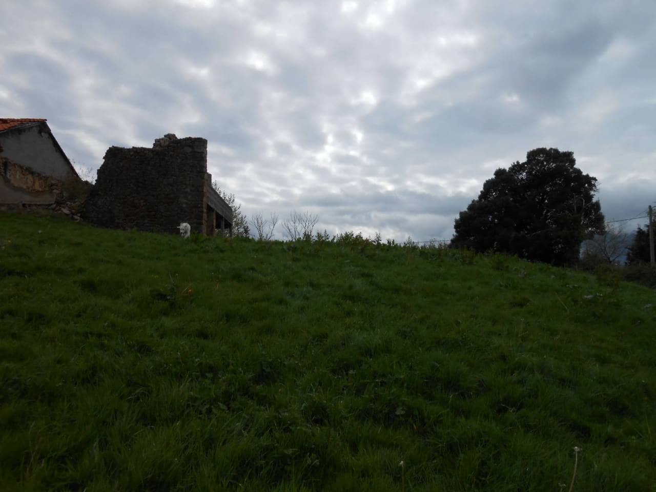 Grunde uden byggetilladelser til salg i Karrantza Harana/Valle de Carranza - € 85.000 (Ref: 942837)