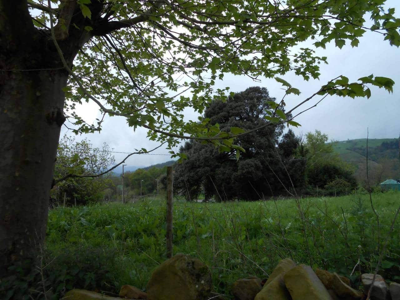 Grunde uden byggetilladelser til salg i Karrantza Harana/Valle de Carranza - € 85.000 (Ref: 942837)